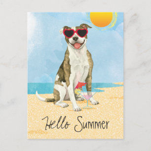 Summer Pit Bull Terrier Postcard