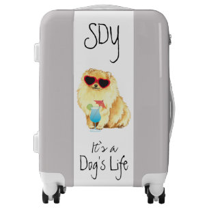 Summer Pomeranian Luggage