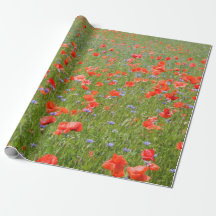 Summer poppies and cornflowers