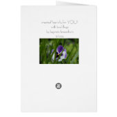 summer poppy haiku cards (Back)