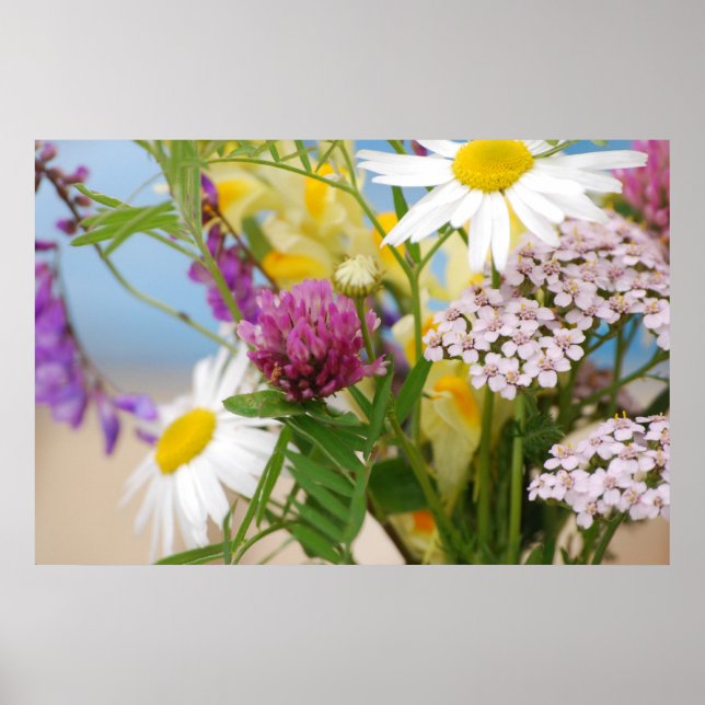 Summer Poster (Front)