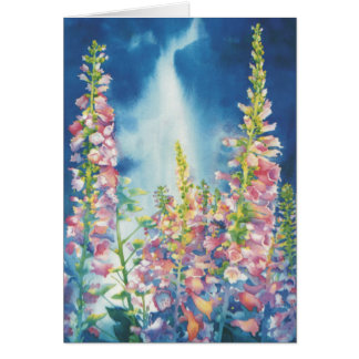 Summer Rain Cards