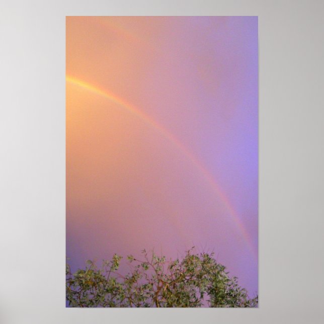 Summer Rainbow Poster (Front)