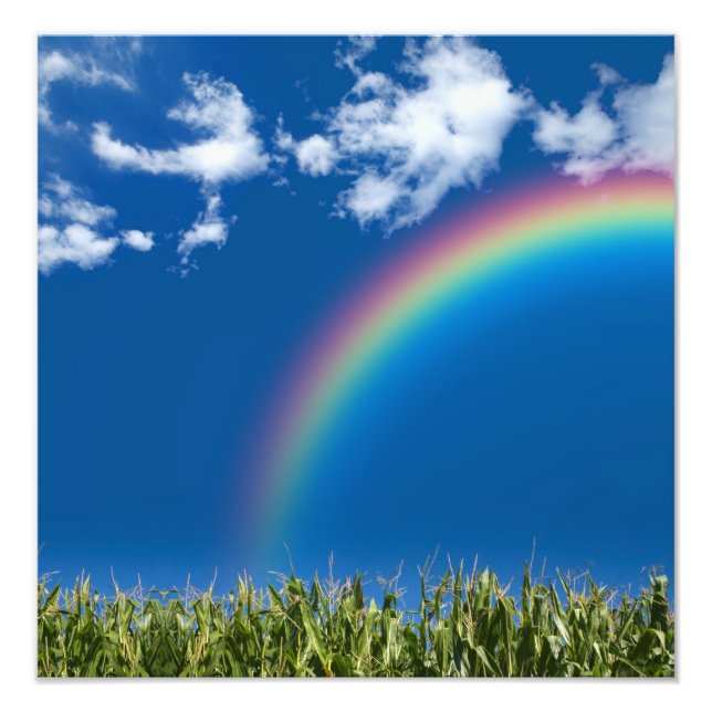 Summer Rainbow Wall Print (Front)