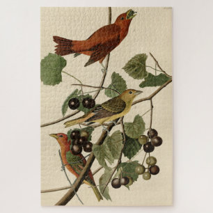 Summer Red Bird (Tanager) Audubon Birds of America Jigsaw Puzzle
