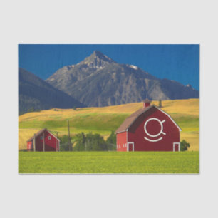 Summer Red Mountain Barns Tissue Paper