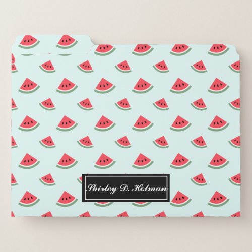 Summer red Watermelon slices pattern File Folder