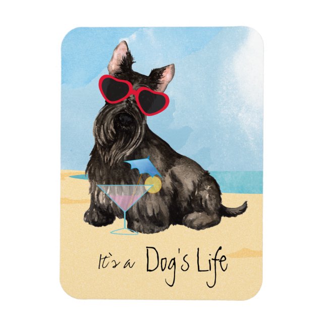 Summer Scottish Terrier Magnet (Vertical)