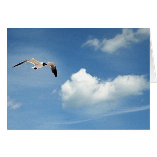 Summer Sky Cards (Front Horizontal)