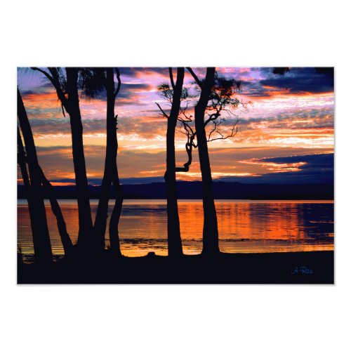 Summer Solace Photo Print