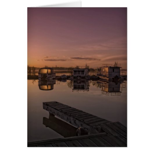 summer solistice (Front)