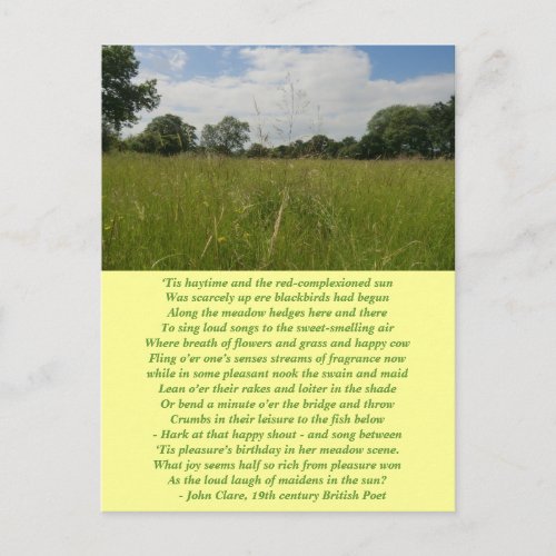 Summer Solstice Haymaking Postcard