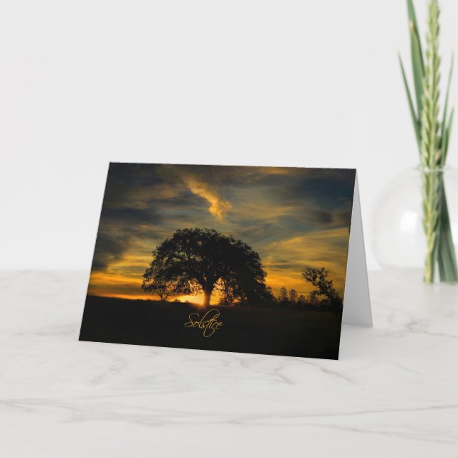 Summer Solstice Oak Tree Beautiful  Card (Front)