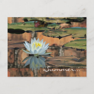 Summer Solstice Party Invitation Postcard