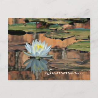 Summer Solstice Party Invitation Postcard