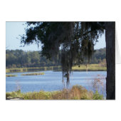 Summer southern lake reflections (Front Horizontal)