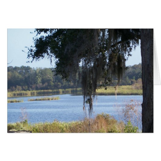 Summer southern lake reflections (Front Horizontal)