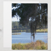 Summer southern lake reflections (Front/Back)