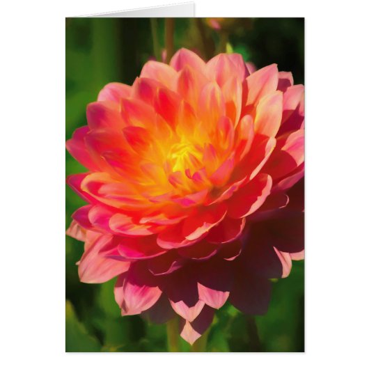 Summer Spectacle Cards (Front)