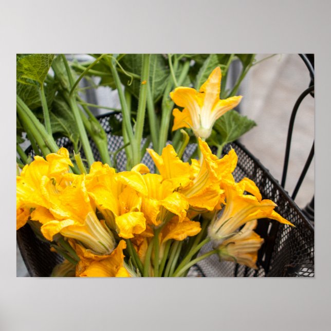Summer Squash Blossoms Poster Paper (Matte) (Front)