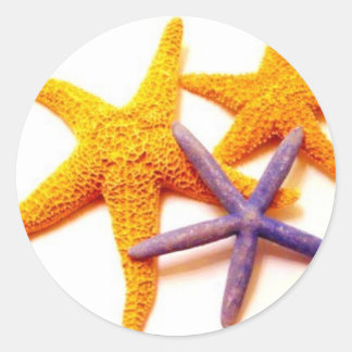 Summer Starfish Stickers