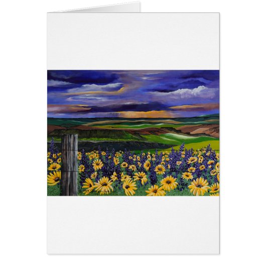 Summer Storm (Front)