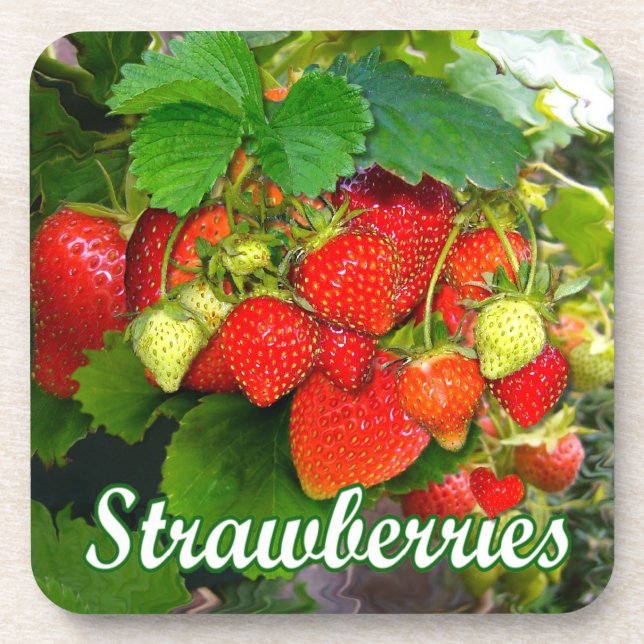 Summer Strawberries ~ Cork Coaster Set # 2 (Front)