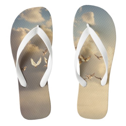  Summer Stride Stylish Sandals  Flip Flops for 