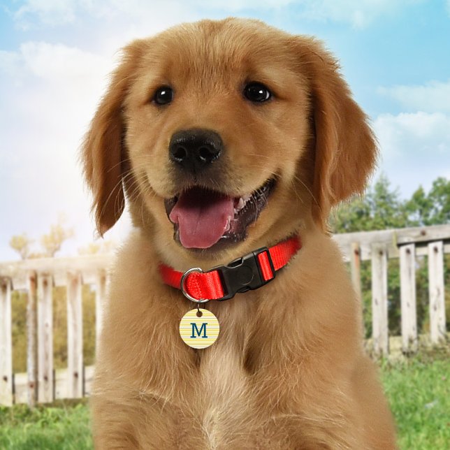 Summer Stripes Personalized Monogram ID Dog Tag (Creator Uploaded)