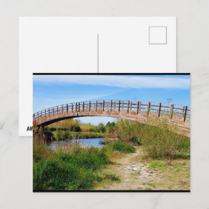 Summer Stroll Along the Túria Postcard