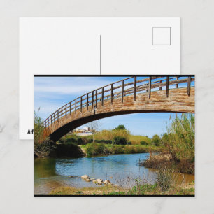 Summer Stroll Along the Túria River Postcard