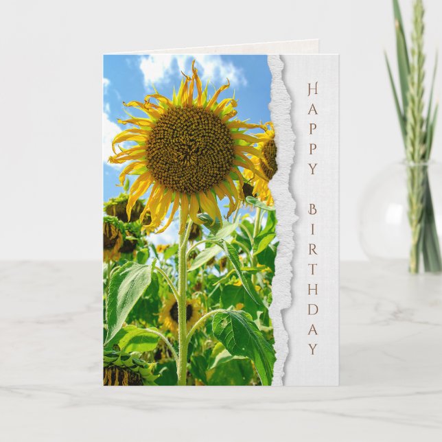 Summer Sunflower birthday Card (Front)