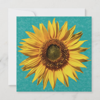 Summer Sunflower Bridal Shower Invitation