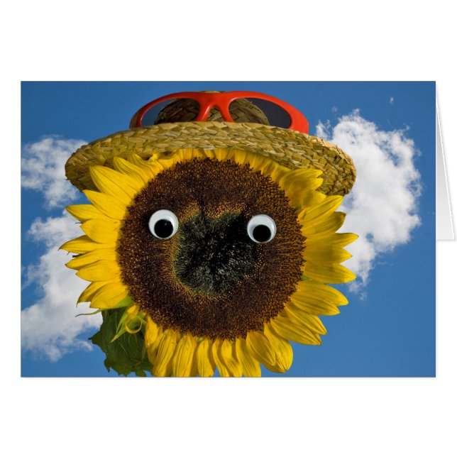 Summer Sunflower Humor Birthday (Front Horizontal)