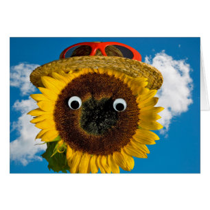 Summer Sunflower Humor Birthday Cards