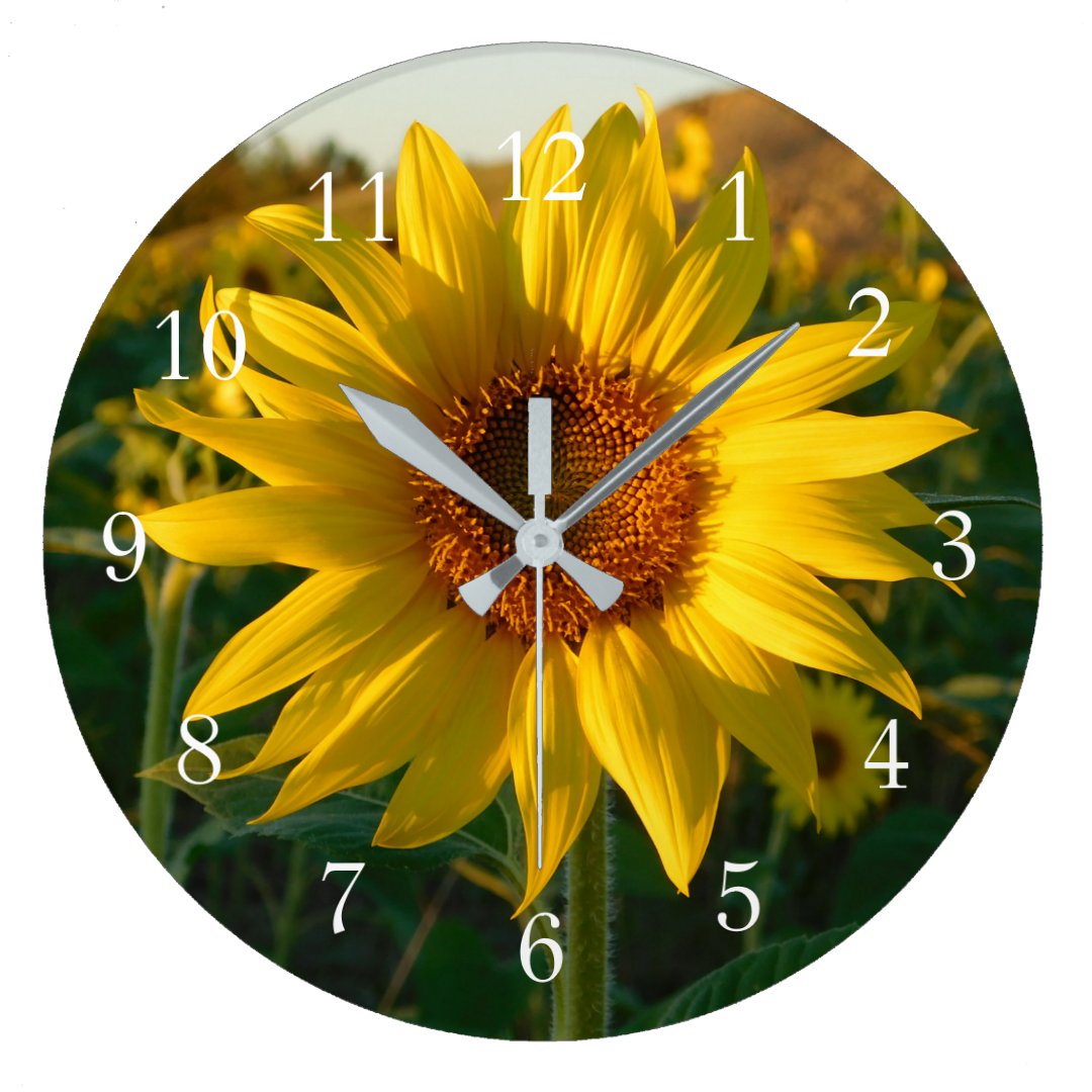 Summer Sunflower Large Clock | Zazzle