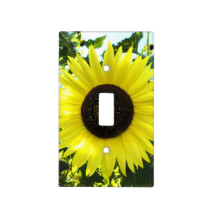 Summer Sunflower Light Switch Cover