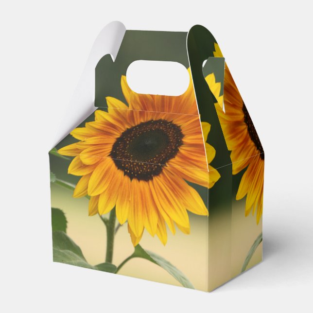 Summer Sunflower Organic Favor Box (Back Side)