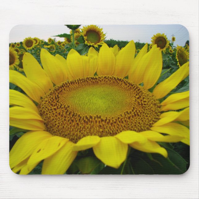 Summer Sunflower Series Mouse Pad (Front)