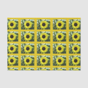 Summer Sunflower Tissue Paper