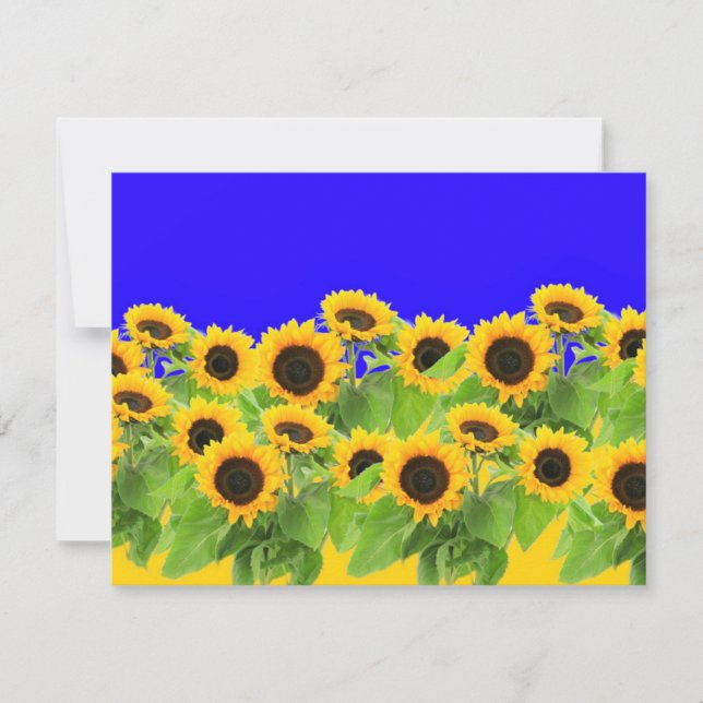 Summer Sunflowers Cards (Front)