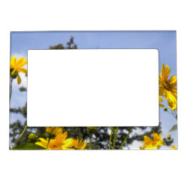 Summer Sunflowers Magnetic Photo Frame