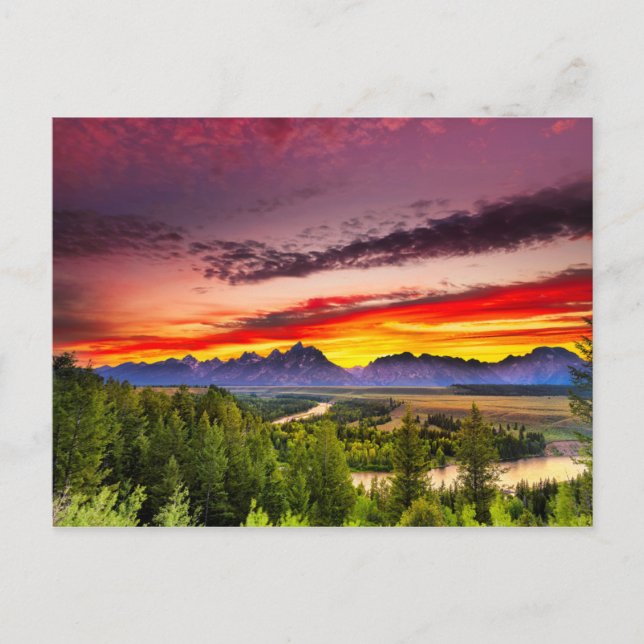 Summer Sunset at Snake River Overlook Postcard (Front)