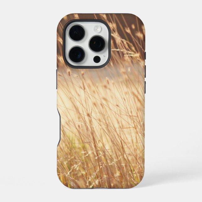 Summer Sunset Field Grass Iphone Case (Back)