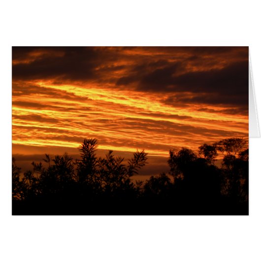 Summer sunset in Canberra Cards (Front Horizontal)