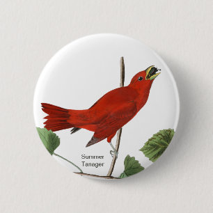 Summer Tanager, Audubon Red Bird, Birdwatcher Bird Button