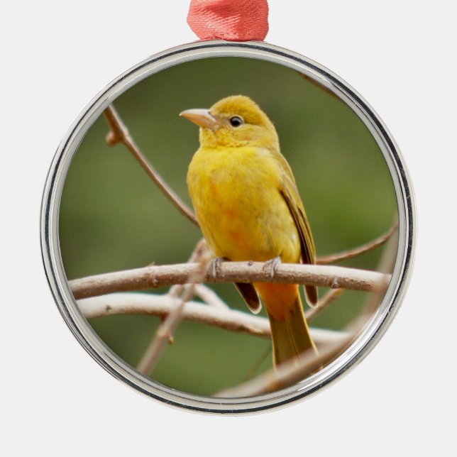 Summer Tanager Metal Ornament (Front)