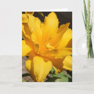 Summer Thank You Card