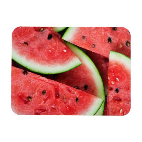 Summer Time Cold Watermelon Slices Magnet