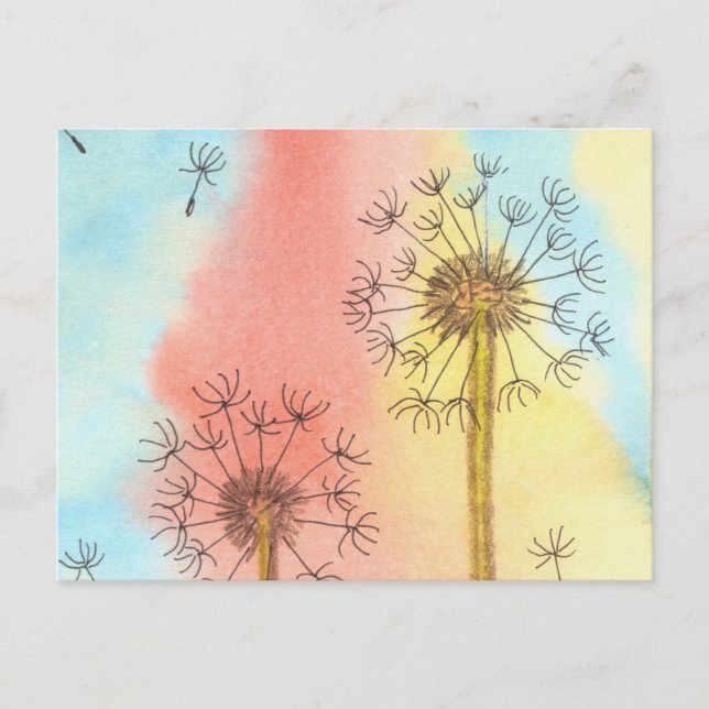 Summer time Dandelion Fluffs Postcard (Front)